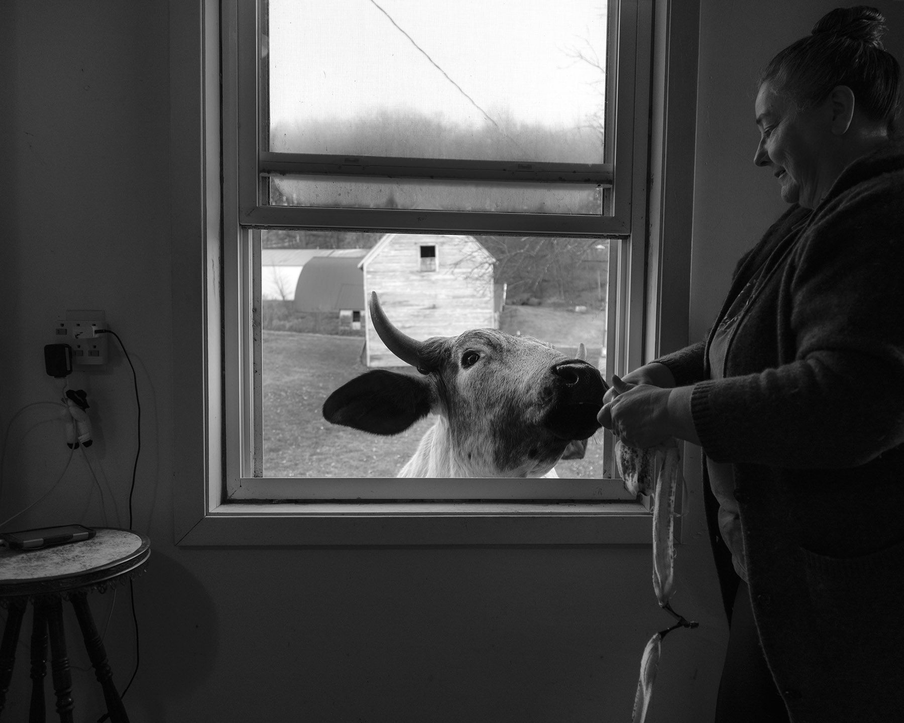 Journey Through Midwest: Dormant Season by Erinn Springer