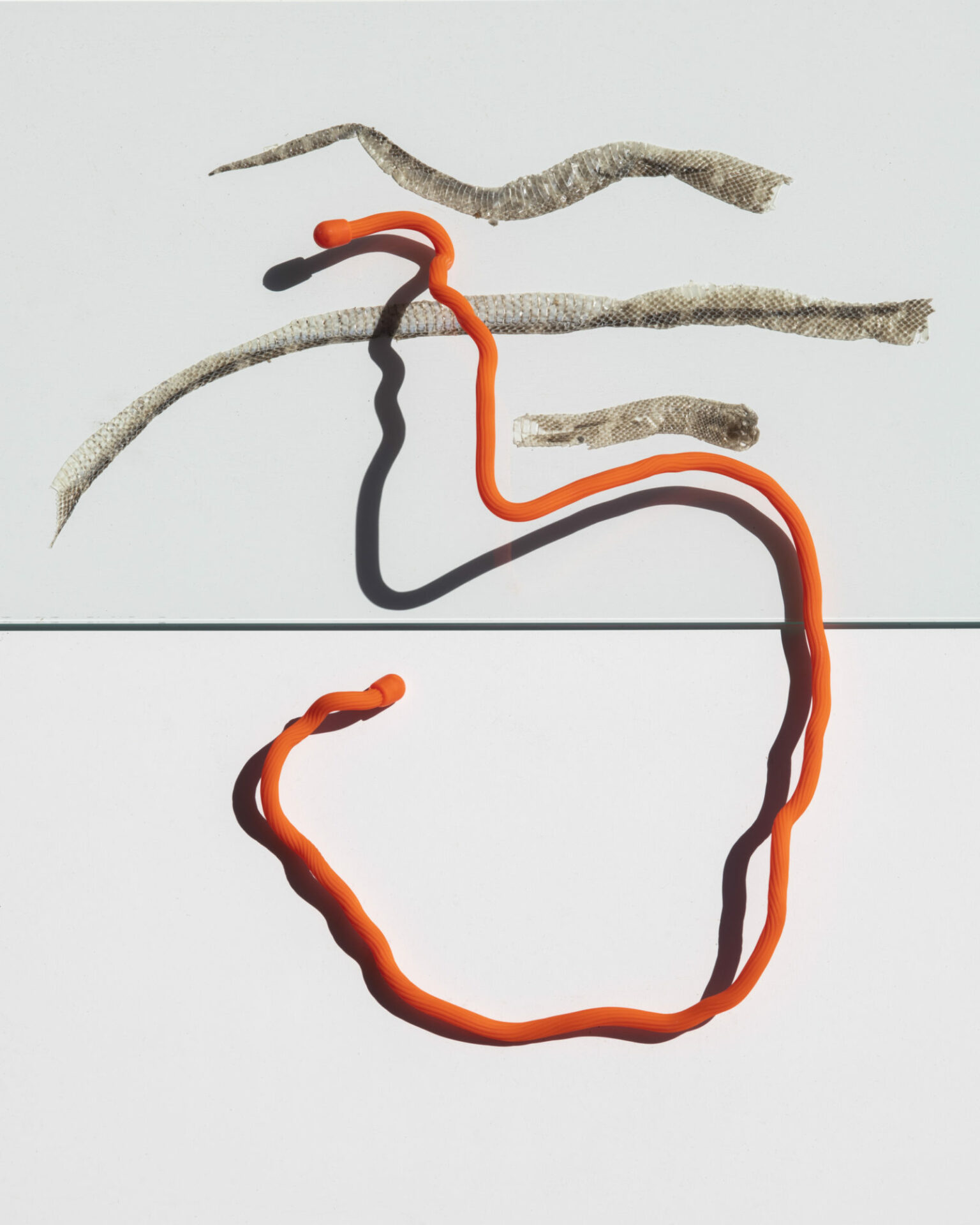 Sergiy Barchuk and His Still Life Photographs: Let Them Tell You